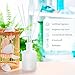 Inis the Energy of the Sea Reed Diffuser Set - Oil Diffuser - Ocean Fresh Fragrance for Home - Includes Fiber Reed Sticks, Fragrance Oil & Glass Bottle