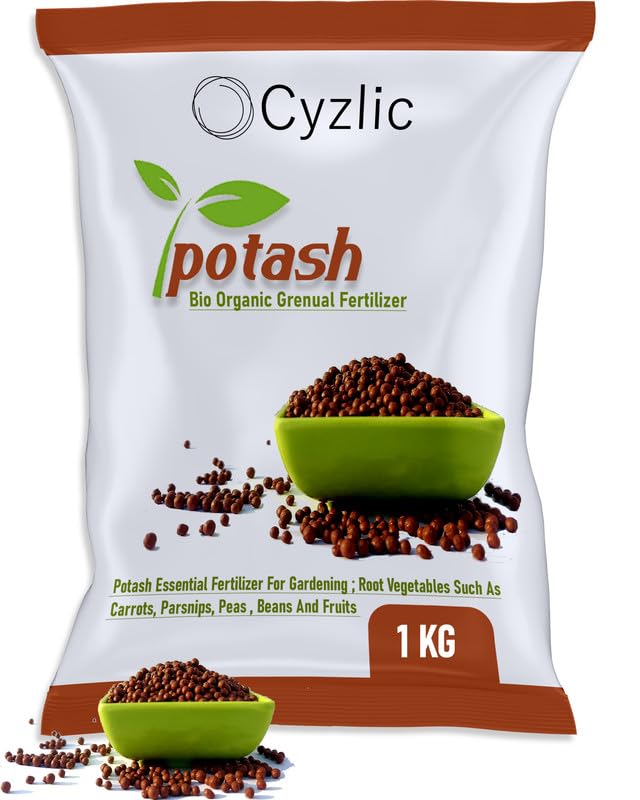 Cyzlic Potash Fertilizers For Plants Essential Fertilizer for Gardening Plant Fertilizer Potash for Plants 1 Kg (B0CLPDPQVW) Amazon Price History, Amazon Price Tracker
