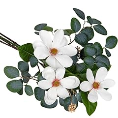 Eucalyptus Stems With Magnolia