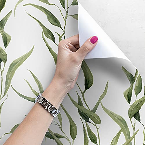 Papier peint intissé de qualité supérieure en tissu mural eucalyptus - 4