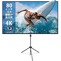 ４K対応 100インチスクリーン（巻上不可→ジャンク品扱） 4K対応 100インチスクリーン（巻上不可→ジャンク品扱） Amazon
