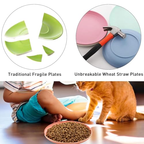 10 Stück Katzennapf,Katzenschüssel,Katzennapf Flach,Fressnapf Katze Futternapf,Runden Katzenteller,Fressnapf Katze,Bunt Katzenfutter Napfset,Cat Plate für Kätzchen und kurzbeinige Katzen