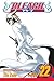 Bleach, Vol. 22