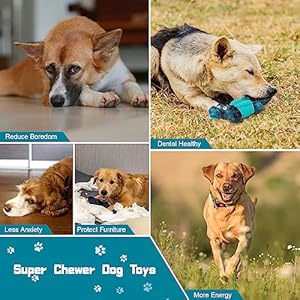 Dog Toys for Aggressive Chewersindestructible Dog Toys for Large Dogsdog Chew Toyssuper Chewer Dog Toystough Chew Toys for Large Medium Dogs Breedreal Bacon Flavor  Cucciolini Doodles Dog toys for aggressive chewersindestructible dog toys for large dogsdog chew toyssuper chewer dog toystough chew toys for large medium dogs breedreal bacon flavor   cucciolini doodles