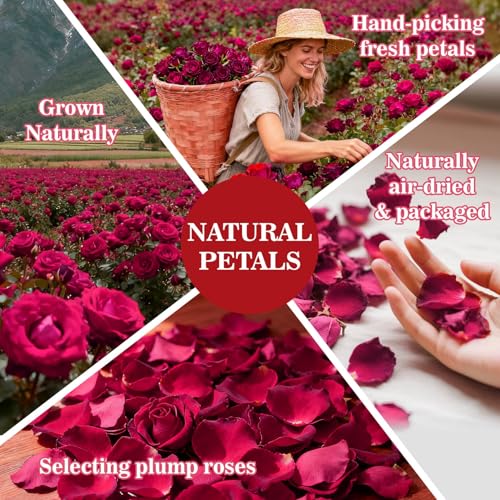 Image of 11oz Dried Rose Petals - Real Flower Petals for Bath Spa, Soap & Candle Making, Wedding Flower Confetti, Resin Crafts & DIY Decorations, Romantic Valentine's Day & Event Decor