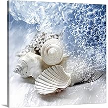 CANVAS ON DEMAND Seashells Washed Ashore Canvas Wall Art Print, Home Decor, Shell, Sea Life Artwork,24" x24in