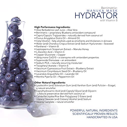 Airelle Anti-Aging Hydrating Manuka Honey Face Mask | Rejuvenate And Soothe Dry Skin | Helps Improve Wrinkles, Uneven Skin Tone | Dermatologist Recommended | Natural Ingredients | 2 Ounce #TOP2