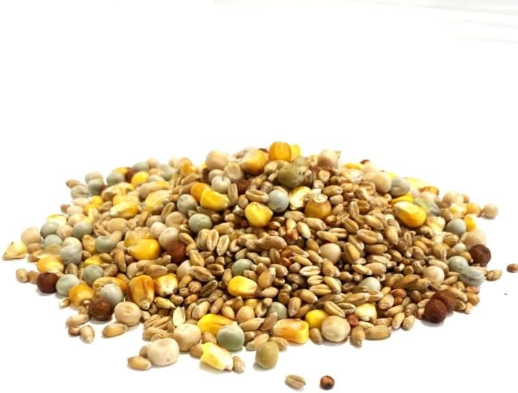 2kg Mixed Pigeon Corn Premium Quality Bird Food