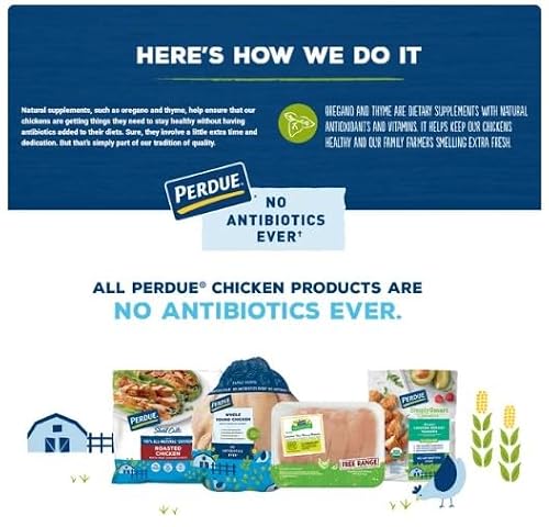 Salutem Vita - Perdue, No Antibiotics Ever, Chicken Breast Patties, 28.8 oz - Pack of 3
