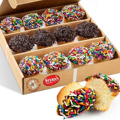 Mini Cupcakes Topped with Chocolate & Rainbow Sprinkles