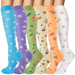 10-purple Chrysanthemum