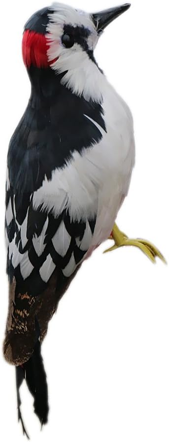 Realized Bird Garden Figurine Garden Feather Decorative Garden Sculpture Made of Resin Weatherproof Woodpecker 33 x 10 x 6 cm