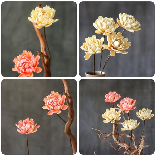 Ramillete Natural de Flores Secas Healeved 2 unidades miniatura 6