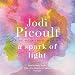 A Spark of Light: A Novel