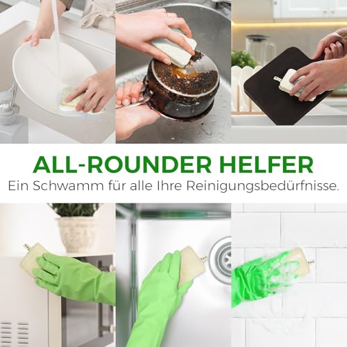 AIRNEX Natürlicher Luffa Spülschwamm – Kompostierbarer und Zellulose-Küchenschwamm 6er Set- Plastikfreier, Kratzfreier Luffa Geschirrschwamm – Geruchsfreier, Biologisch Abbaubarer Abwaschschwamm