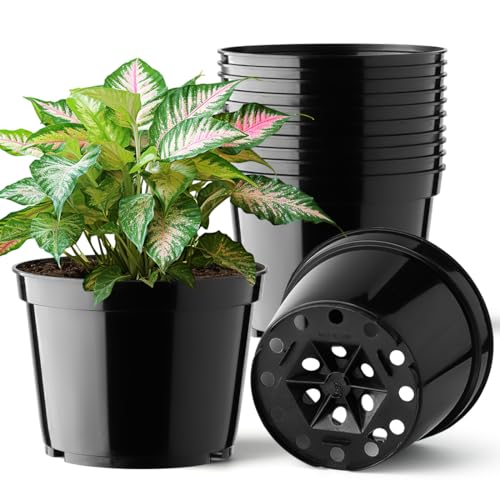 BTPLASTIK 15 Pack 6 Inch Plastic Plant Pots with Drainage Holes, Sturdy Nursery Pots for Plants, Thickened Flower Pots for Indoor Outdoor Planting Transplanting, Succulents, Seedlings, Black by BTPLASTIK - Used condition - US$14.96