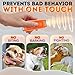 Stop Dog Barking Instantly – Ultrasonic Dog Bark Deterrent Device Humane No-Shock Barking Silencer & Dog Trainer for Indoor & Outdoor Use Effective Bark Control Solution for Dogs up to 120 LBS Orange