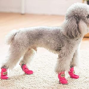 PJDDP Dog Boots Dog Shoes Pet Winter Warm Snow Boots Dog Hiking Shoes Pet Antiskid Anti-Skid Shoes Paw Protectors Waterproof Dog Boots for Small, Medium Dog Puppy,Yellow,2 PJDDP Dog Boots Dog Shoes Pet Winter Warm Snow Boots Dog Hiking Shoes Pet Antiskid Anti-Skid Shoes Paw Protectors Waterproof Dog Boots for Small, Medium Dog Puppy,Yellow,2