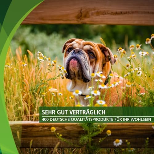 Vetipur Glucosamin Plus - Gelenktabletten - 90 Tabletten - Futterergänzung für Hunde - Glucosamin + Chondroitin + MSM + Vitamin C & Vitamin E