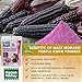 HANAN MIKHUY Maíz Morado 100g - 100% Natural Purple Corn Powder for Digestive Health & Nutrient Absorption Vegan, Non-GMO, Gluten-Free, Keto from Peru (3.53oz)