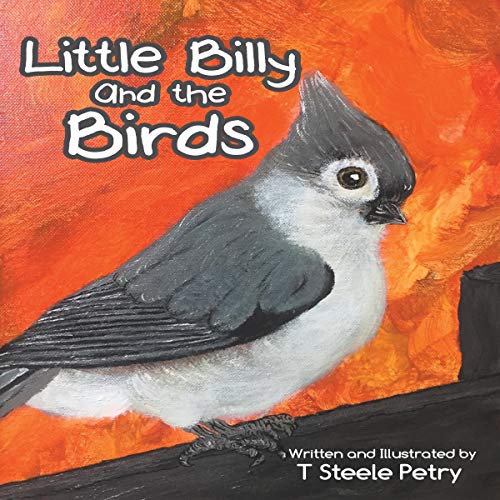 Little Billy and the Birds by T Steele Petry episode artwork