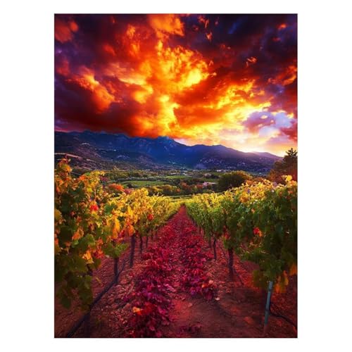 �������G �J���t���ȉ_ �G�� ��|�L�b�g �y�C���g�o�C�i���o�[ �O���[�v ����L�b�g �� �A�N�����G�̋� �M �L�����o�X 20 x 30 cm �E�H�[���A�[�g ��� �L�����o�X�G��p�L�����r���O���[���Q���̉Ƃ̑��� �Ǐ��� �M�t�g JLYH-9693