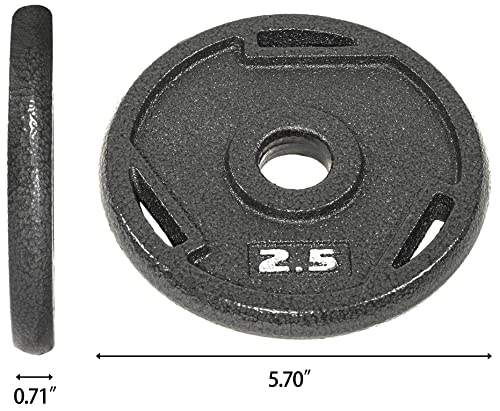 Balancefrom Cast Iron Plate Weight Plate For Strength Training And Weightlifting, Single At1In-2.5 #TOP4
