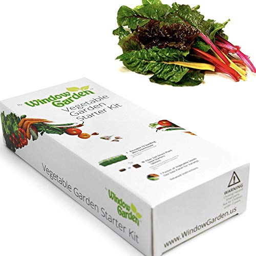 Window Garden - Swiss Chard Vegetable Starter Kit - Grow Your Own Food. Germinate Seeds on Your Windowsill Then Move to Planter or Vegetable Patch. Mini Greenhouse System Makeâ€™s it Easy. (Swiss Chard)