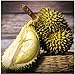 Durian, Fresh Tropical King of Fruits.1 pack from Asian (👉 This is fresh fruit. It is kept in cold storage before shipping, but as a perishable item it cannot be returned once delivered. Thank you for understanding.)