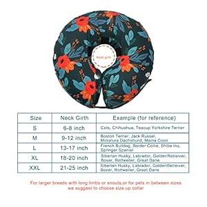 Protective Inflatable Collar for Dogs and Cats – Soft Pet Recovery Collar Does Not Block Vision, Prevents Pets from Touching Stitches, Wounds and Rashes (Floral, L)