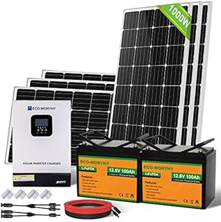 ECO-WORTHY 1000W 24V Solar Power System 4kWh/day with Battery and Hybrid Solar Inverter for Home Shed RV: 6pcs 170W Solar Panels+ 2pcs 100Ah Lithium Batteries+ 3000W 24V Hybrid Inverter