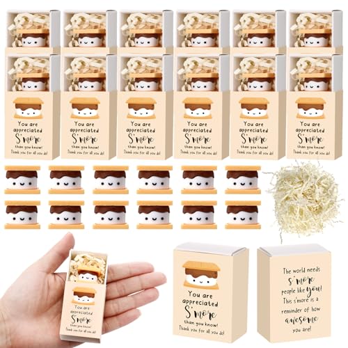 Wettarn 12 Sets Employee Appreciation Gifts Smore Gifts Bulk Marshmallow with Box Office Party Favor Inspirational Thank You Gift for Coworker Staff Team Employee Nurse Teacher (Marshmallow)