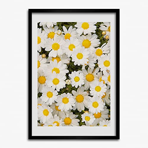 Tableau Cadre en Bois 50x70 cm Fleurs de Marguerite pour Salon Déco