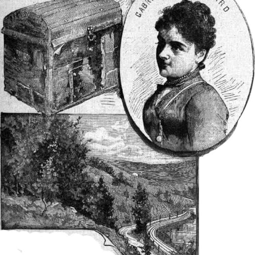 Page de couverture de Sale Affaire : La malle sanglante de Millery
