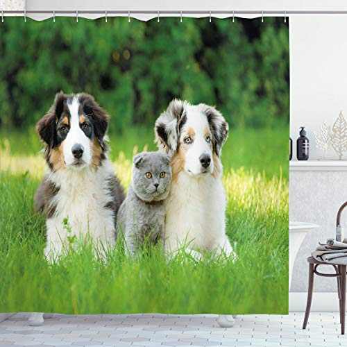 Ambesonne Dog Shower Curtain, Pets Puppy Family in The Garden Australian Shepherds and a Cat Scenery, Cloth Fabric Bathroom Decor Set with Hooks, 69' W x 70' L, Cream Grey Fern Green