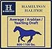 Hamilton Deluxe Horse Halter, 1