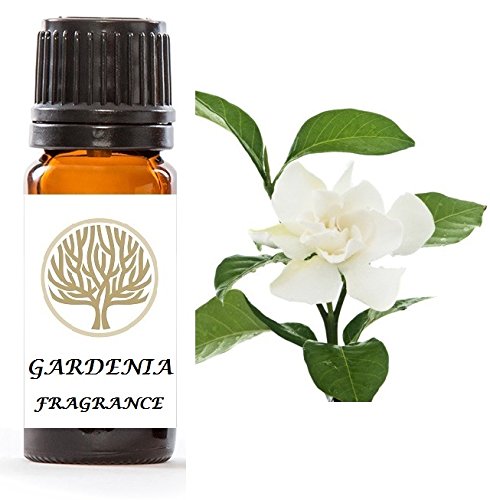 Ekoface Amber Gardenia Fragrance Oil 10Ml For Candle Making, Oil Burner, Potpourri & Bath