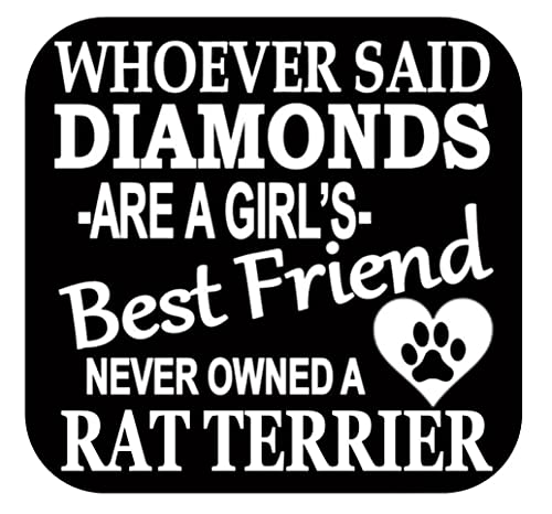 Rat Terrier Diamonds TP 457 6