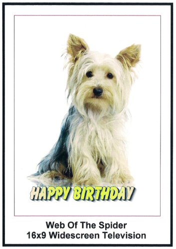 Carte anniversaire Web of the Spider 16x9 Widescreen TV pour geek