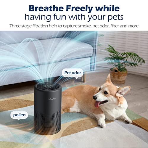 Air Purifiers. We Have Two Models Available: The Ac201B And The Ac300. It's Important To Note That The Filters For These Two Models Are Different #TOP7