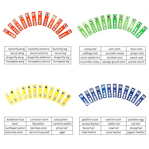 Diy-Science BIOLOGY-PS-PLASTIC-48PCS 48 Prepared Microscope Slides Set Of Animals Insects Plants Flowers thumb #2