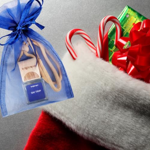 Image of Car Air Freshener - Premium Car Hanging Air Freshener, Long-Lasting Fragrance for Auto and Home (0.2 Fl Oz (Pack of 1), Ski Trip - White Pine, Birchwood, Fir Balsam, Amber, Musk)