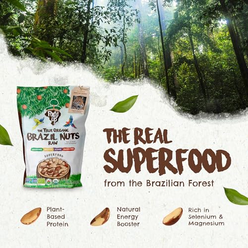 Image of Snack The True Organic Brazil Nuts Medium Size 32 oz-2lbs - Raw and Unsalted - Kosher - Healthy-Rich in Vegetable Protein - Harvested in Amazon Rainforest - Fresh, Vegan and Gluten Free - Forest Up