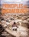 Principles of Archaeology (Second Edition)