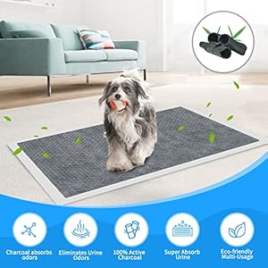 60pcs Charcoal Pee Pads for Dogsdog Pee Pads Extra Large 24 X 36carbon Odor Control 6layer Leakproof  Quick Dry Dog Training Pads  Cucciolini Doodles 60pcs charcoal pee pads for dogsdog pee pads extra large 24 x 36carbon odor control 6 layer leak proof  quick dry dog training pads   cucciolini doodles