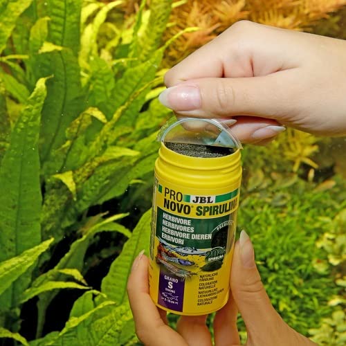 Image secondaire de JBL ProNovo Spirulina Granulés pour Poissons Herbivores 100ml