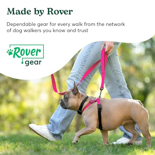 Dog Harness Hot Pink S  Nopull Design Comfort Padding Reinforced Webbing  Ideal for Small Dogs 1625lb  Cucciolini Doodles Dog harness hot pink s  no pull design comfort padding reinforced webbing  ideal for small dogs 16 25lb   cucciolini doodles