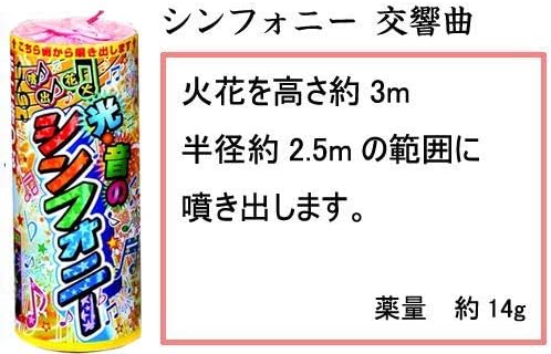 華麗なる噴出花火40本SPセット】超大量ワンダフル！選び抜かれた噴出詰め合わせセット 思い出作りにぴったり 【ホーム】 噴水花火・吹き出しは
