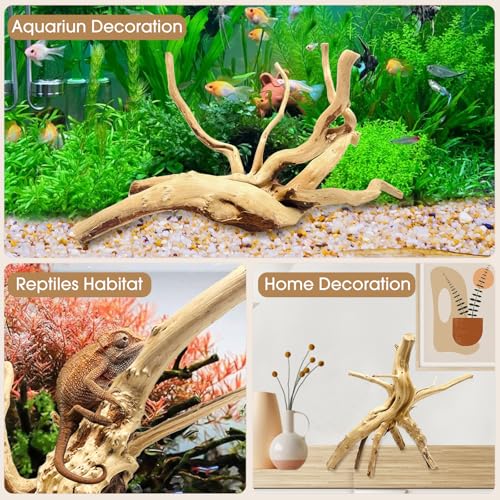 Image of Jorewood Natural Large Spiderwood Driftwood for Aquarium Decor Rptile Fish Tank Decoration Assort Branch 11-14'' 2 Pcs