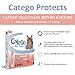 Catego for Cats Flea and Tick Treatment & Prevention (Over 1.5 lbs) 1-Month Supply